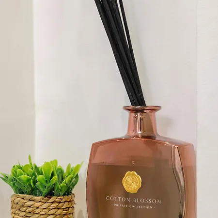 Acogedor Frente A Plaza Del Cedro