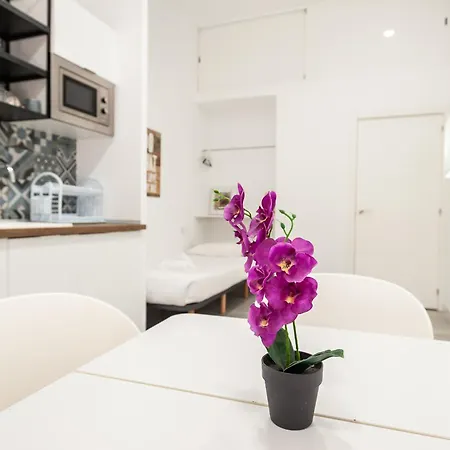 El Mosaico Apartman Valencia