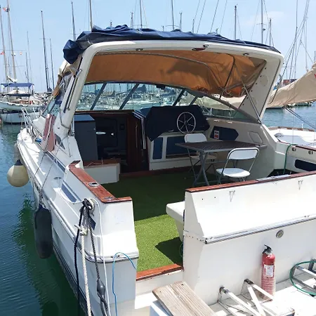 Kamp alanı Meg One