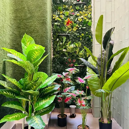 Apartman Cute & Cozy Aparment Near The Historic Center *