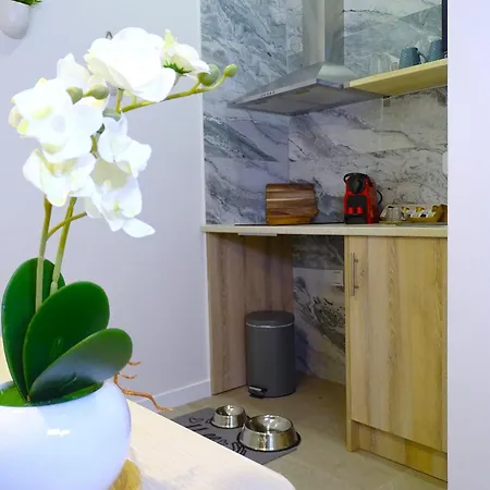 Apartamento Ptz 1b - Loft