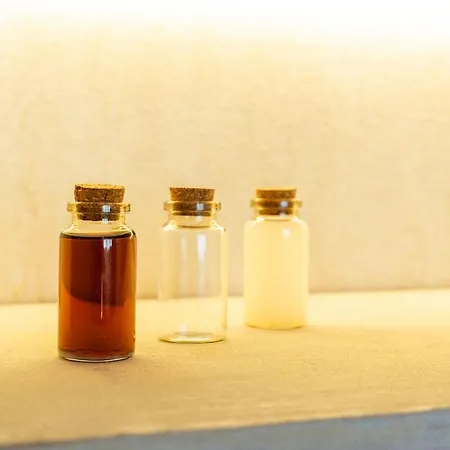 Nomad Haux Puerto 4* Walencja