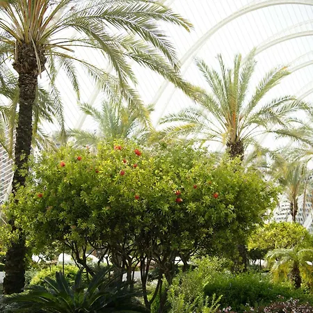 Ciudad De Artes Y Ciencias 4*