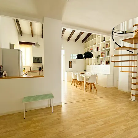 Duplex Al Lado De Jardines Del Turia *