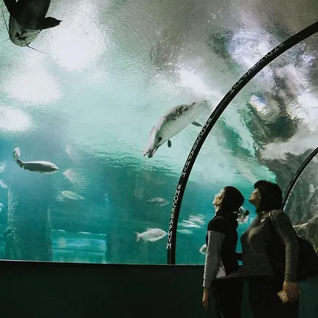 דירה Neobeds - Stylish Modern 1br Near Old Town & Steps From Turia Park