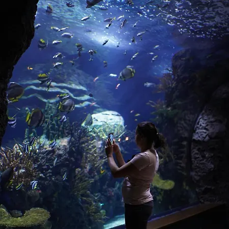 Neobeds - Stylish Modern 1br Near Old Town & Steps From Turia Park Apartment