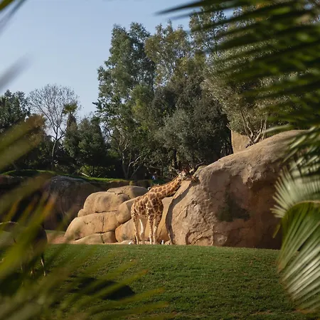 Apartment Neobeds - Stylish Modern 1br Near Old Town & Steps From Turia Park *