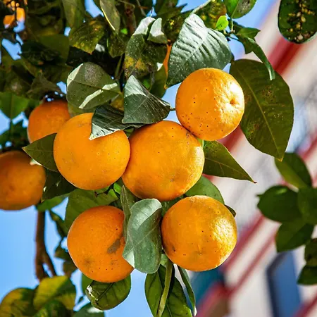 Apartment Neobeds - Stylish Modern 1br Near Old Town & Steps From Turia Park *