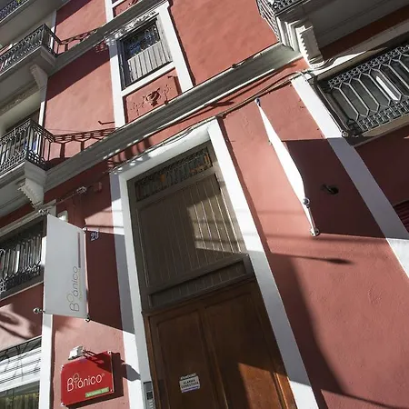 Albergue Singularstays Botanico 29