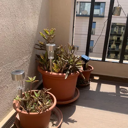 Apartment Atico En El Centro Con Terraza Valencia