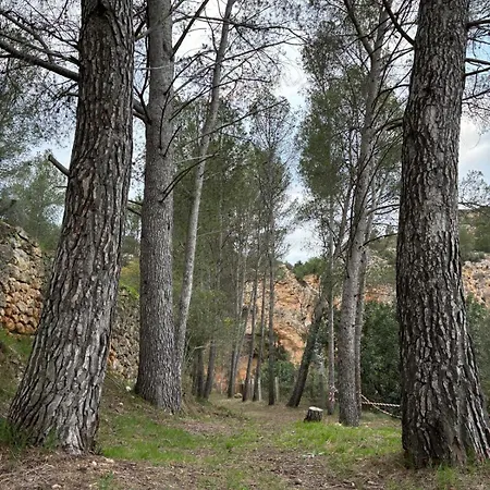 بيت ريفي Paraiso Natural Unico -villa Cueva Turche فالنسيا