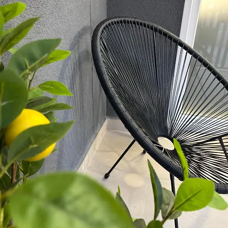 Basset 3 Apartamento