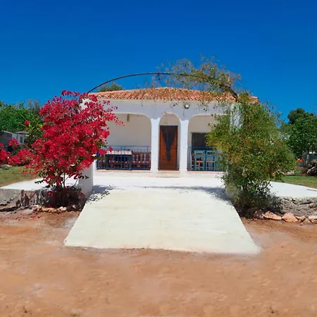 Buganvilla