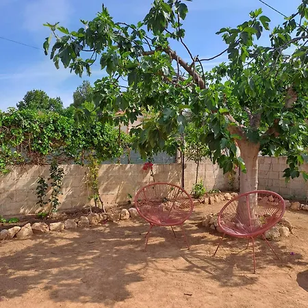 Buganvilla * Valencia