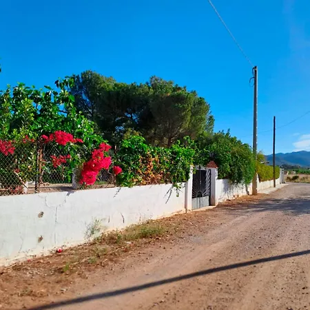 Buganvilla *