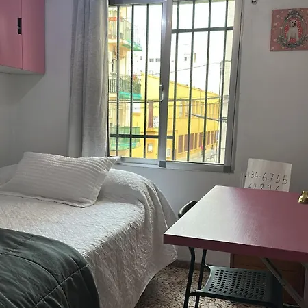 Alquiler Universidades Malvarrosa Playa Maritim Valencia