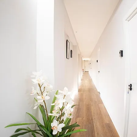 Office Habitación De Lujo 2 Personas Valência