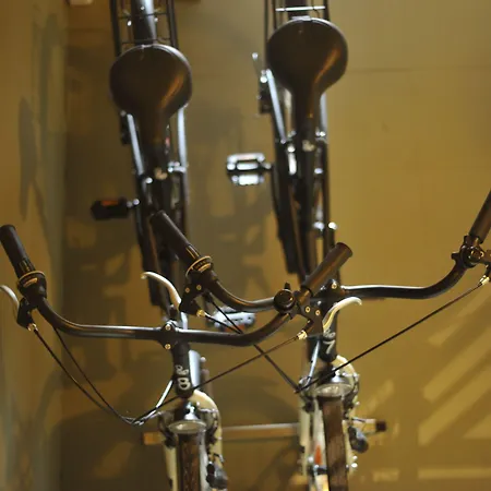 Md Modern - Jardines