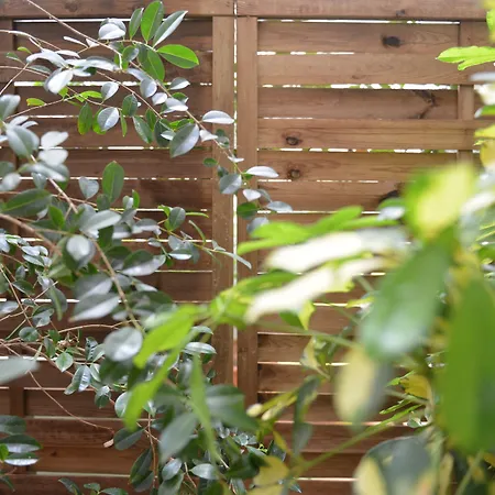 Отель Md Modern - Jardines Валенсия