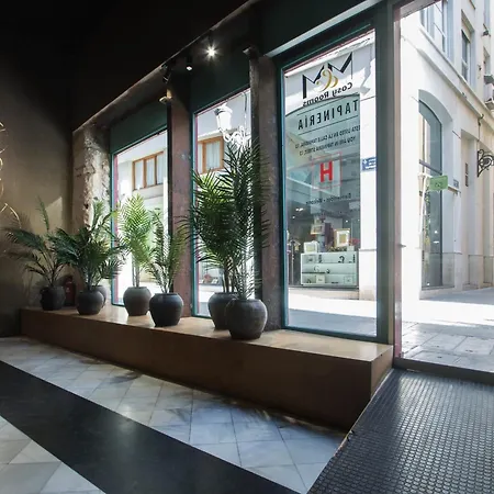 Cosy Tapineria Guest house 2*