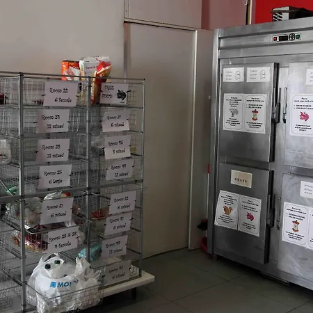 レッド ネスト ホステル *