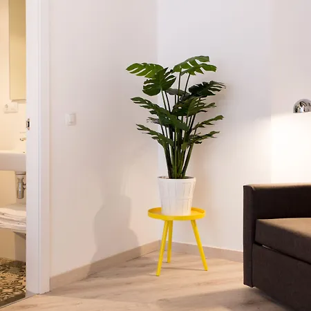 Wallace Appartement Valence