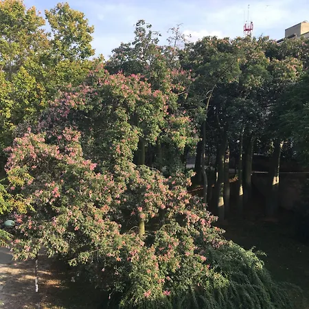 Md Design - Portal Del Real Valencie