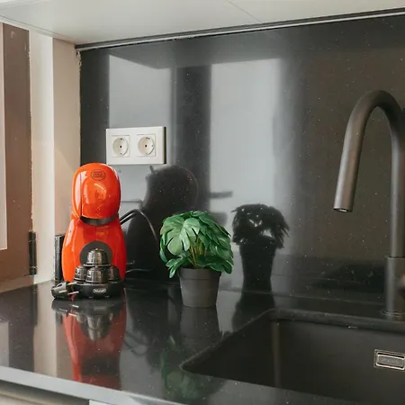 Elegant Loft In Lägenhet