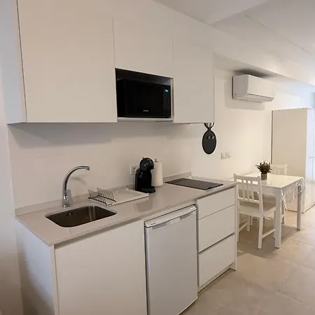 Céntrico Con Terraza Interior *