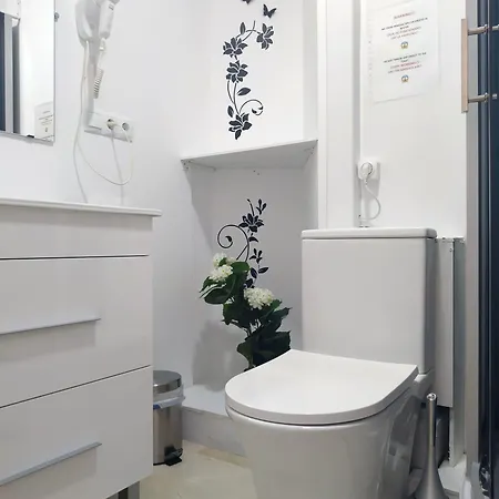 Flats Friends Plaza De La Reina 4*