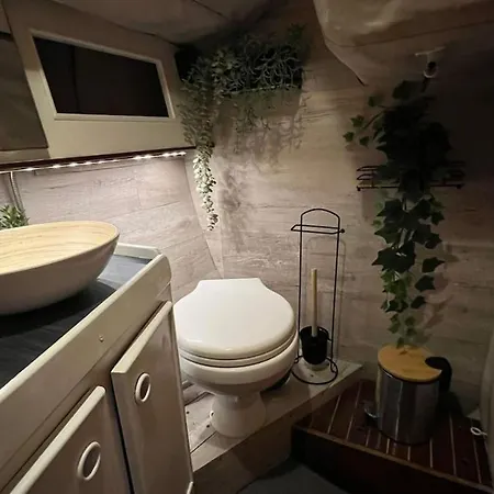 Unique Experience In Sailboat! In The 4 Seasons!! B Shi