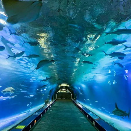 Duplex-port-valencia Prázdninový dům Valencie