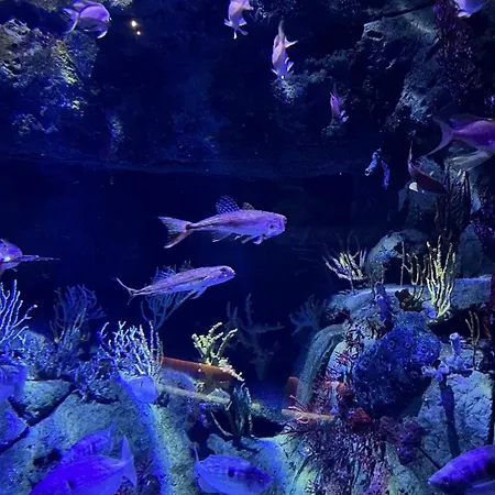 Bådhotel Unique Experience In Sailboat! In The 4 Seasons!! B Shi *