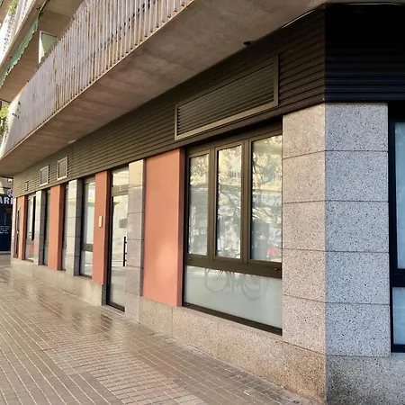 Osito Hub - Llorens