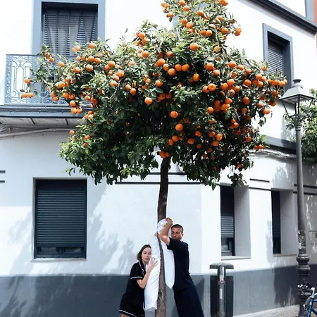 Bypillow Sinfonia 3* Valencia