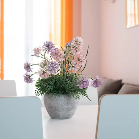 Hogar Vera Apartments&bikes Valencia