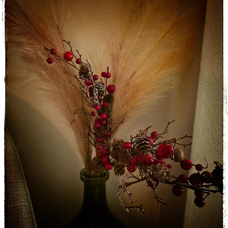 Brisa Marina A Unos Pasos Del Mar アパート *