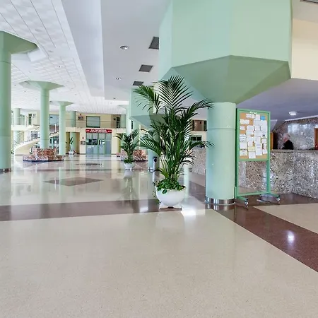 Patacona 6 * Valencie