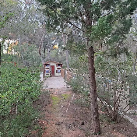 La Casa Del Bosque Holiday home Valencia