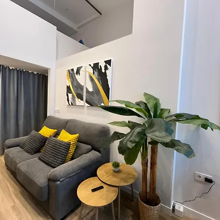 Appartement Loft Accommodative B