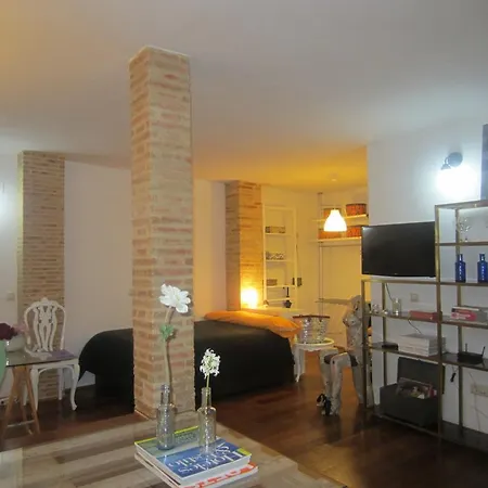 Living Studio Serranos Apartment