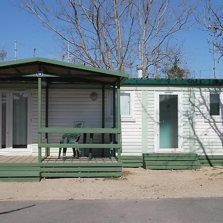 Camping Coll Vert Alfafar