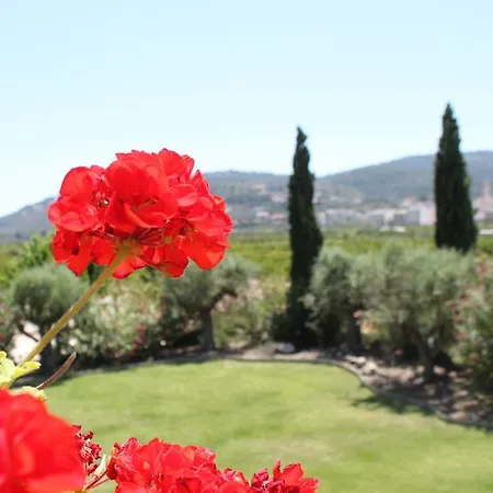 Moli El Canyisset Valensiya