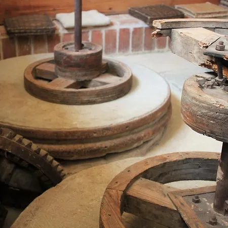 Moli El Canyisset Валенсия