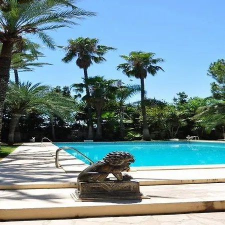 Oasis