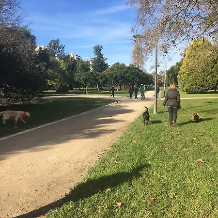 Preciso En El Centro Historico * Valencia