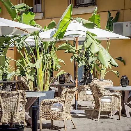 Apartamento Palacio De Rojas