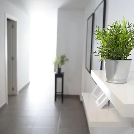 Flats Friends Tetuan * Valencia