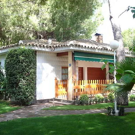 Oasis