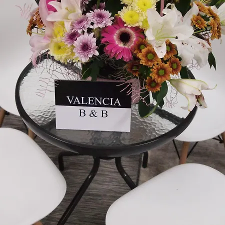 Apartment Valencia Bed and Breakfast 2*